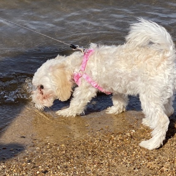 Meet your Posher, Kayla - Picture 1 of 1